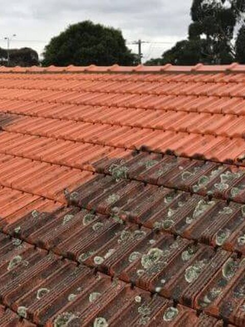Clay Tile Roof Replacements